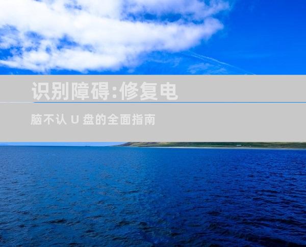 识别障碍:修复电脑不认 U 盘的全面指南